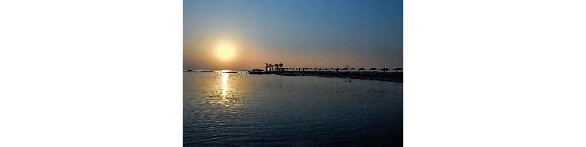 Iberotel Casa Del Mar Resort (Ex.Sentido Casa Del Mar) 4*-8