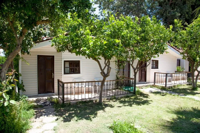 Leda Beach Hotel 3*-15