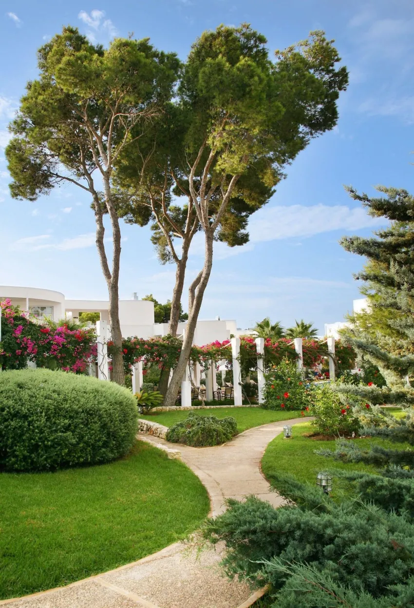 Melia Cala D'or Boutique Hotel 5*-121