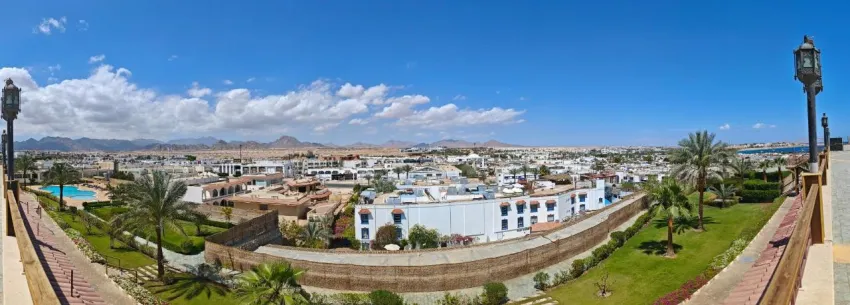 FALCON NAAMA STAR  3*-73