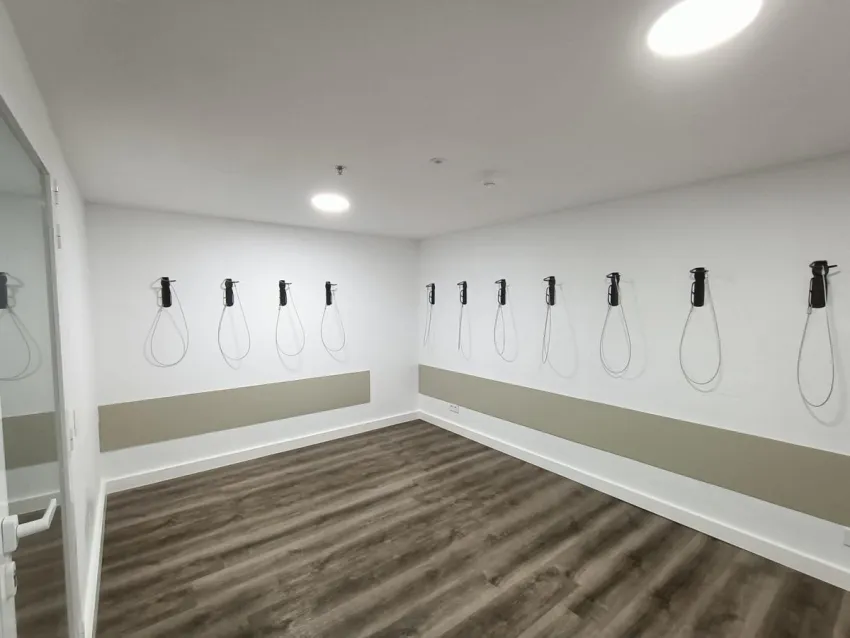 Vibra Palma Cactus 4*-27