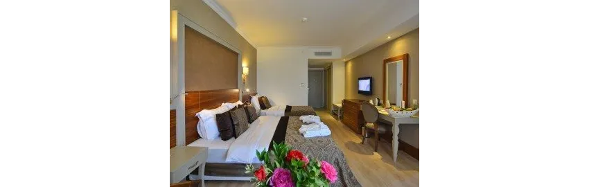 Side Crown Palace 5*-11