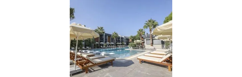 Forest In Hotel 3*-5