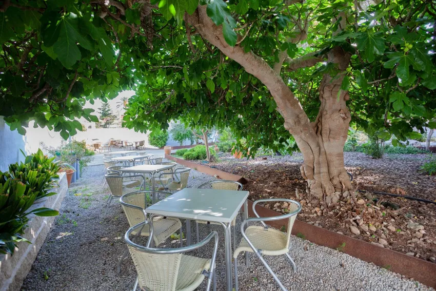 Petit Garden Hotel by Flacalco 3*-8