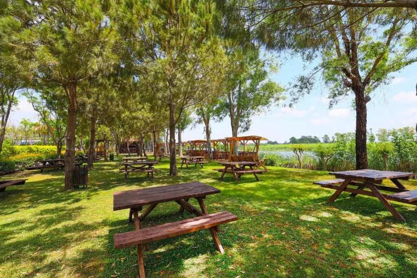 Crystal Paraiso Verde Resort & Spa 5*-35