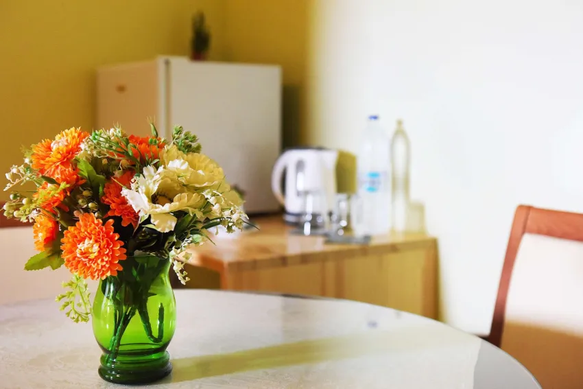 Esmeralda Hotel 3*-11