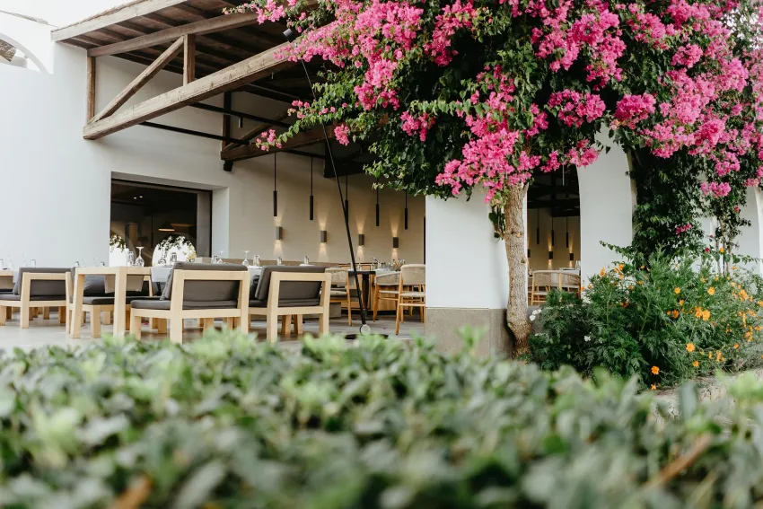 Minos Beach Art Hotel 5*-18