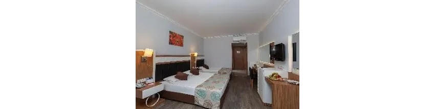 Hane Family Resort Hotel 4*-28