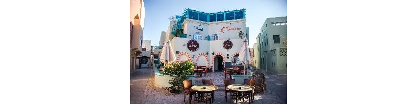 Turtle's Inn Hotel 3*-33