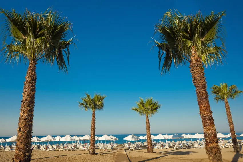 Sultan Of Dreams 5*-18