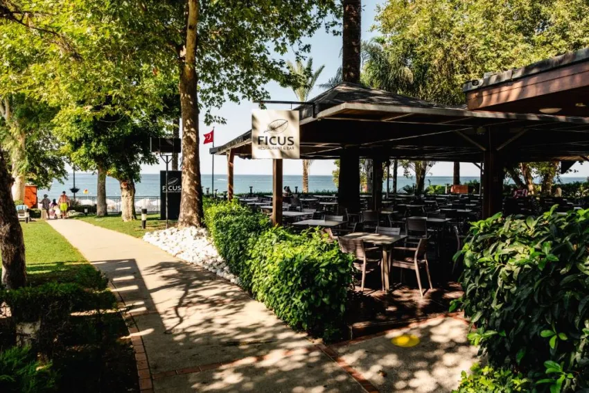 Side Star Elegance 5*-59