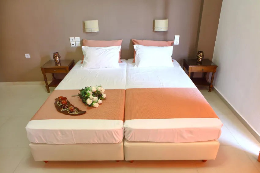 Stella Paradise 1*-2