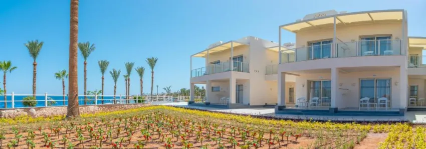 ALBATROS ROYAL GRAND SHARM EL SHEIKH (ADULT ONLY16+)  5*-156