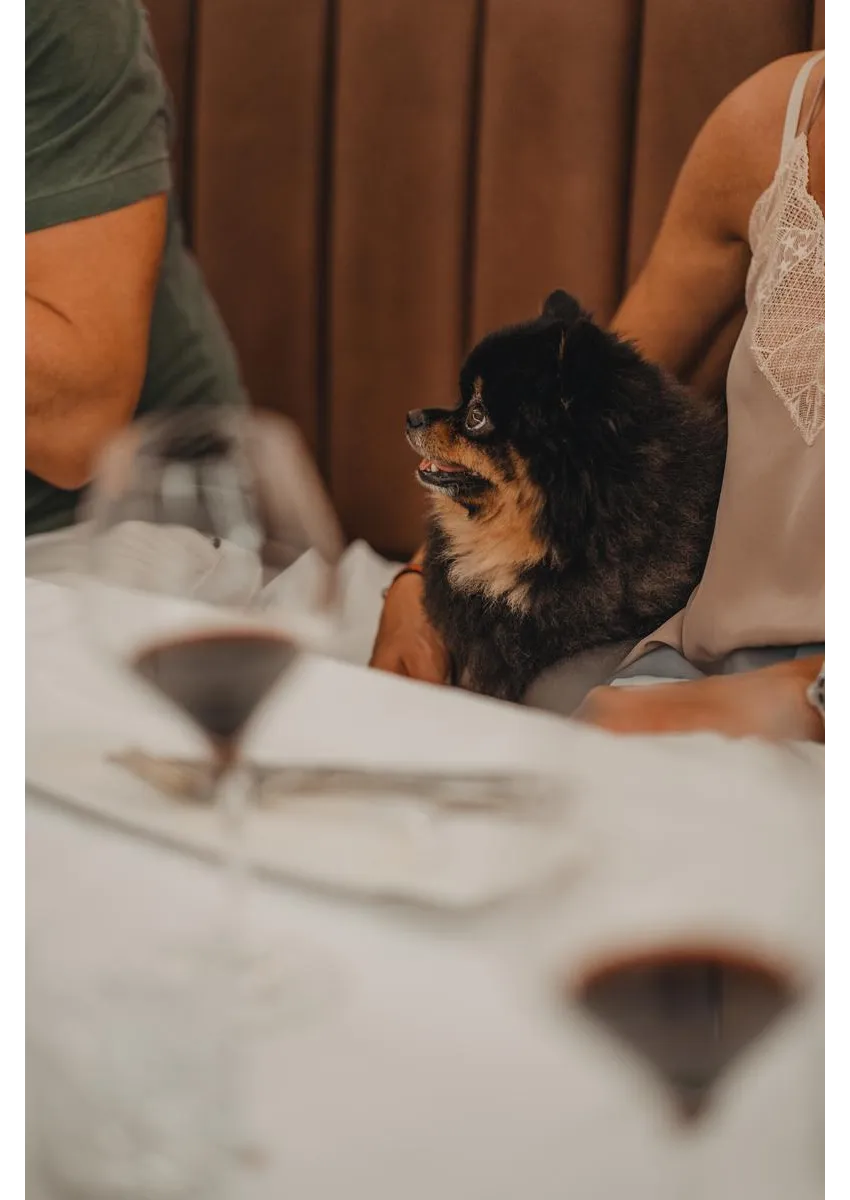 Nivia Born Boutique Hotel 5*-32