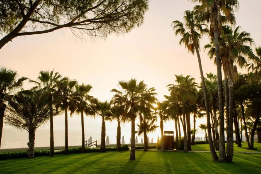 ACANTHUS & CENNET BARUT COLLECTION  5*-10