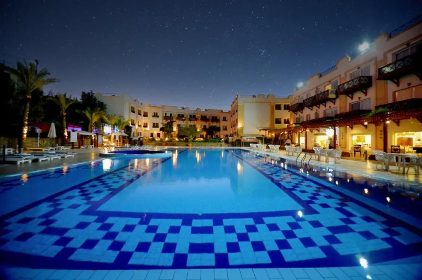 FALCON NAAMA STAR  3*-3