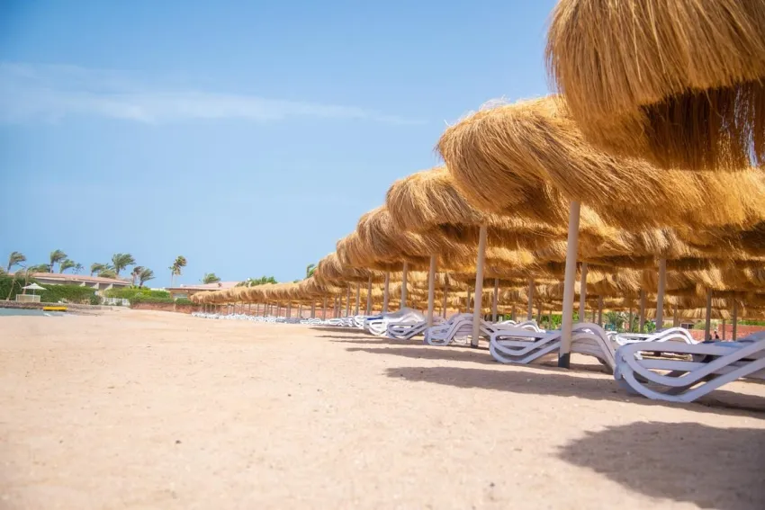 Rewaya Majestic Resort 5*-8