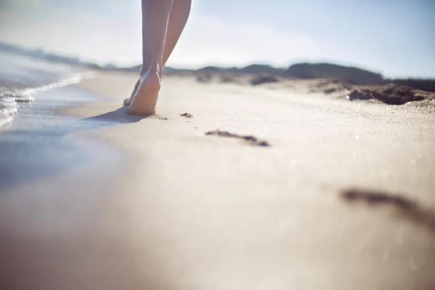 Las Gaviotas Suites Hotel 4*-55