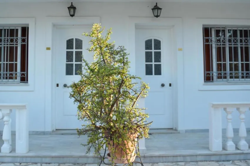 Paradise Beach Hotel 3*-20