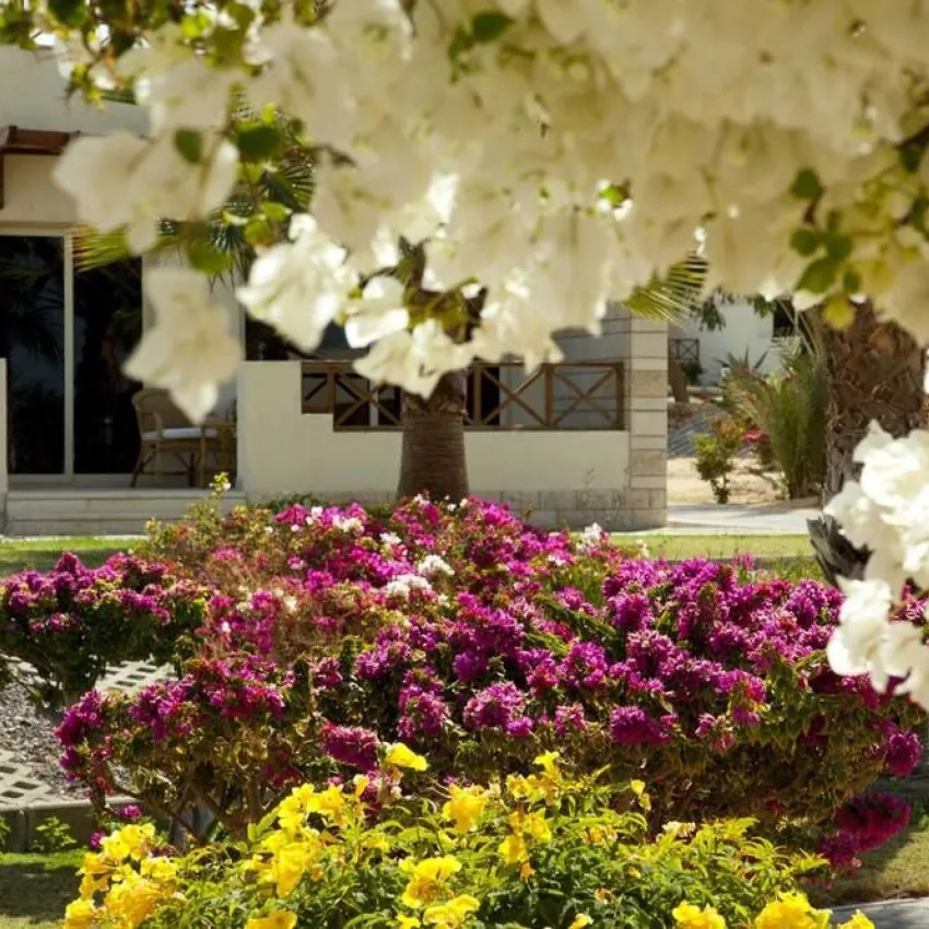 Coral Beach Resort Hotel 4*-5