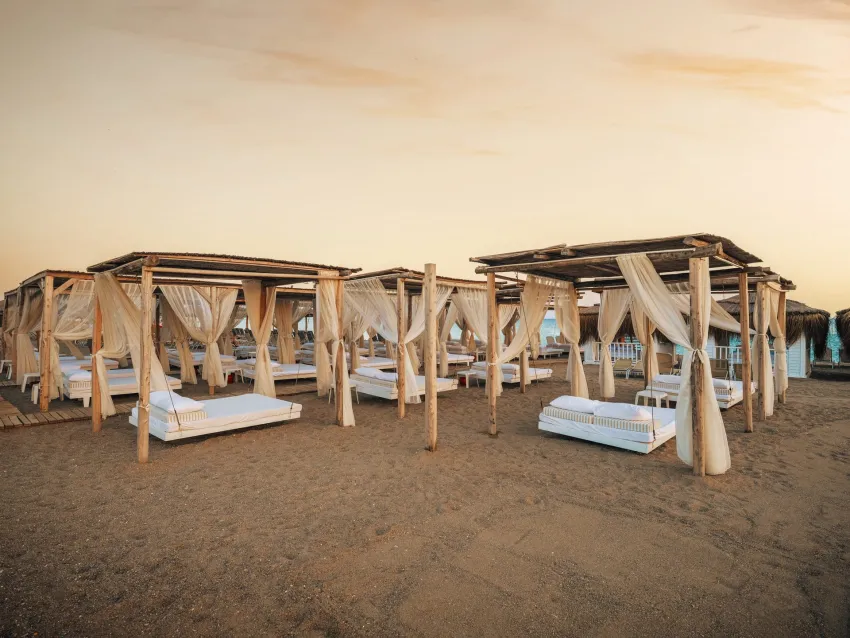 Asteria Bloom Side (Ex. Selectum For Two Side) 5*-24