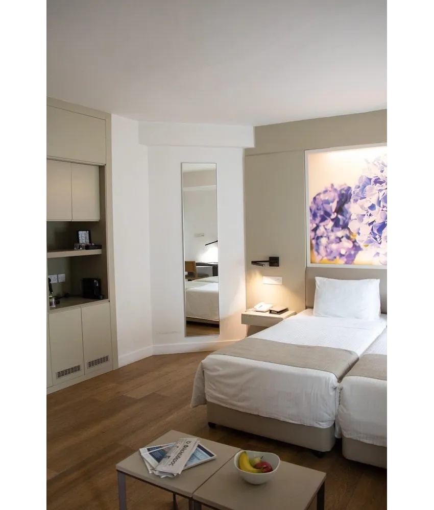 The Classic Hotel 4*-8