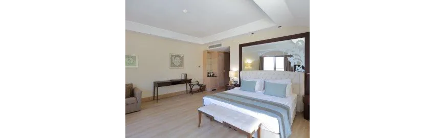 Juju Premier Palace Hotel (Ex. Amara Premier Palace) 5*-17