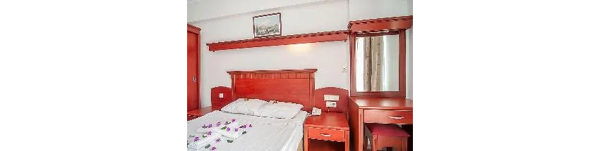 Wasa Hotel 3*-7