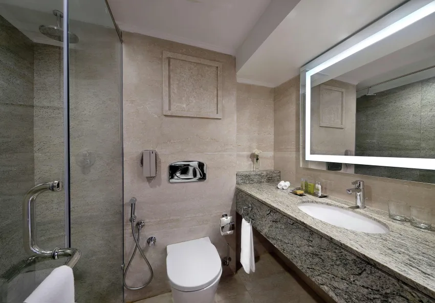 Hilton Plaza 5*-233