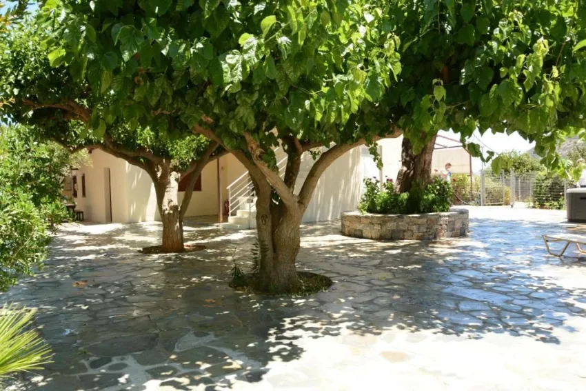 Mitsis Bali Paradise Hotel 4*-9