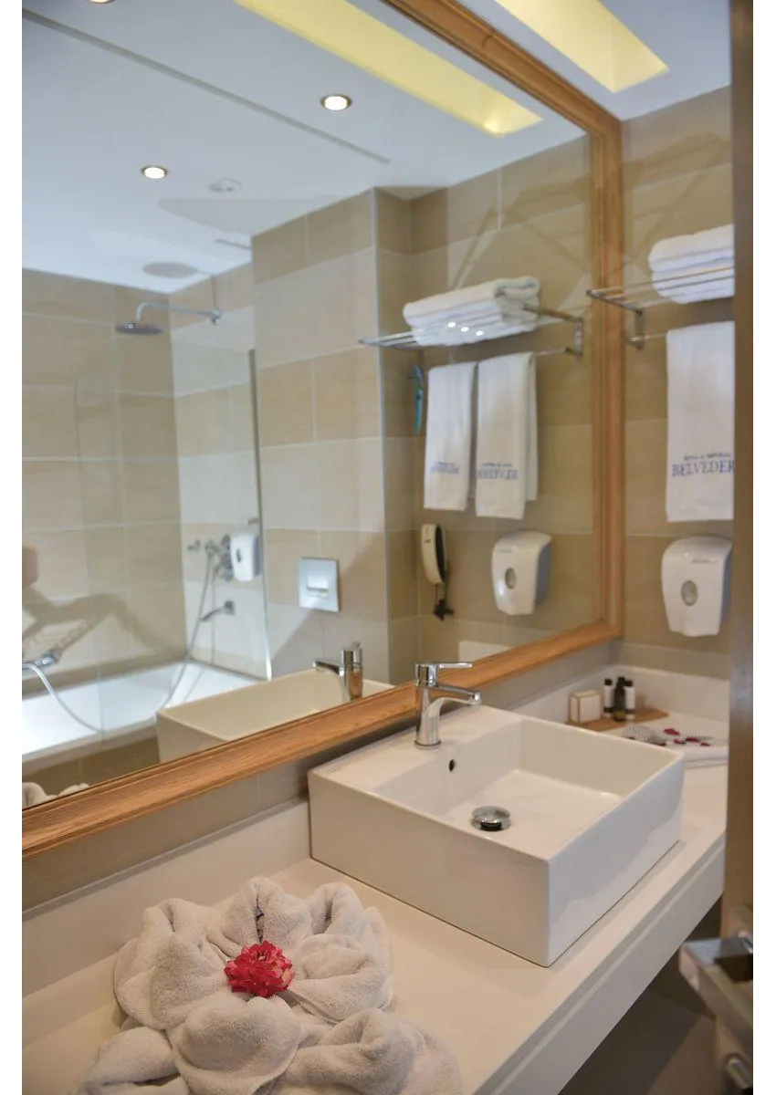 Royal & Imperial Belvedere 4*-27