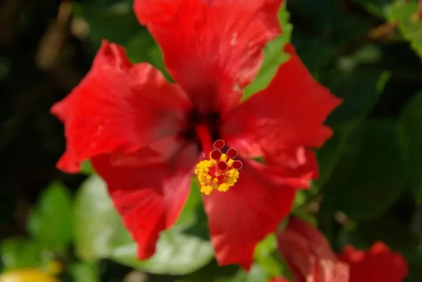 Hylatio Tourist Village 3*-4