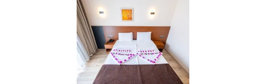 Viking Express Hotel 3*-3