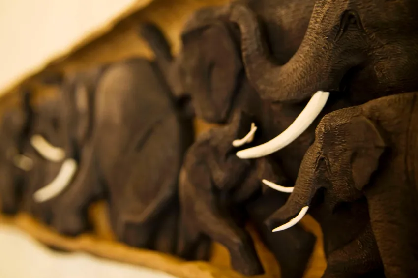 Lindner Hotel Mallorca Portals Nous 4*-46