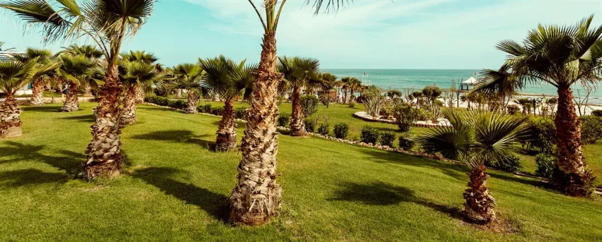 HOTEL TURAN PRINCE  5*-15