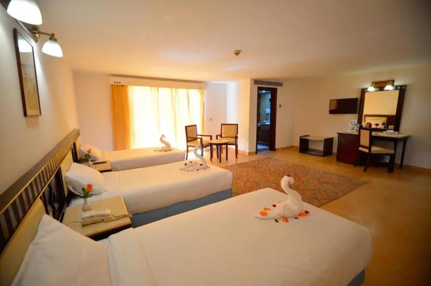 FALCON NAAMA STAR  3*-60