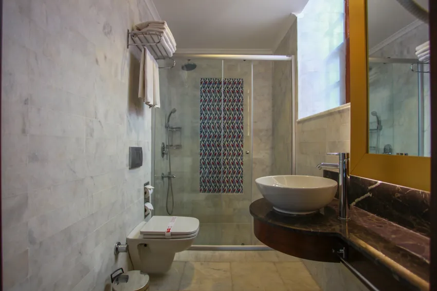 Alp Pasa Hotel 4*-32