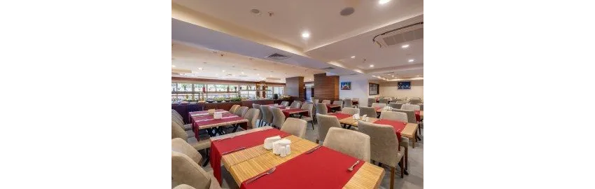 Viking Express Hotel 3*-24