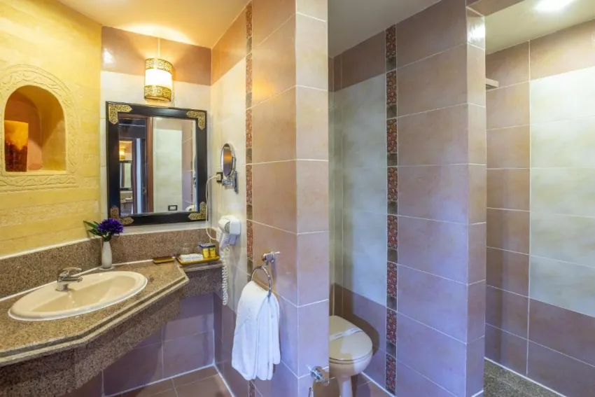 Pickalbatros Palace Resort 5*-9