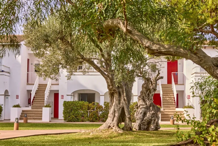 Seaclub Alcudia Mediterranean Resort 4*-3