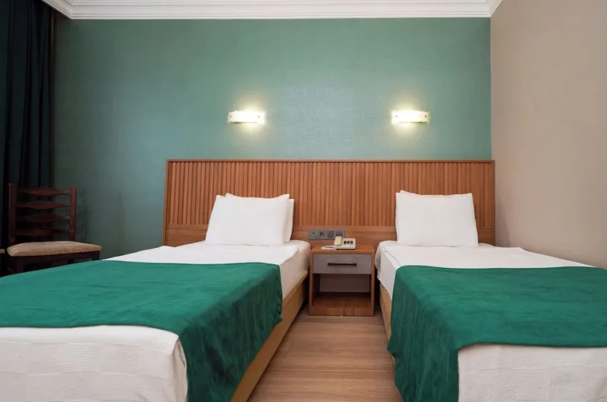Ergun Hotel 3*-8