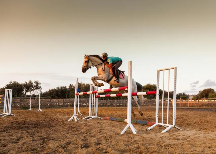 SENTIDO PHENICIA  4*-17