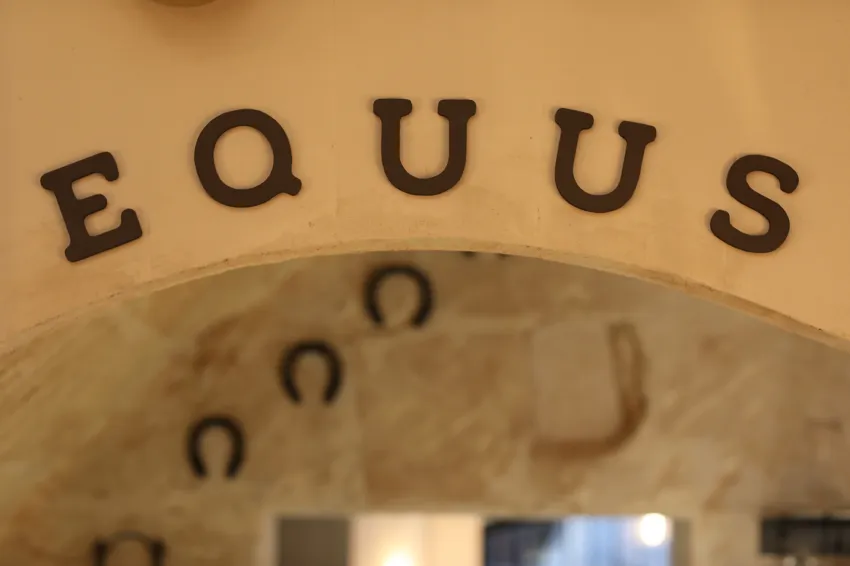 Summum Boutique Hotel member of Melia Collection 5*-168
