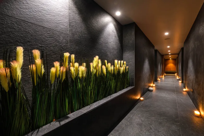 Ajax Hotel 4*-118