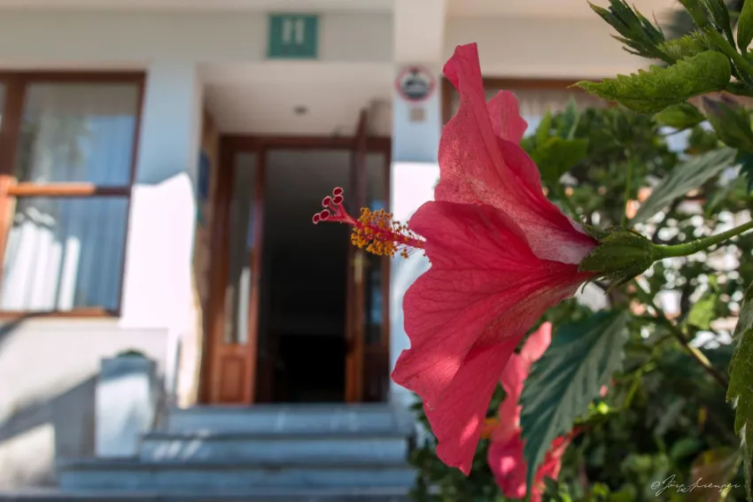 Santanyi Port Boutique Hotel 4*-2