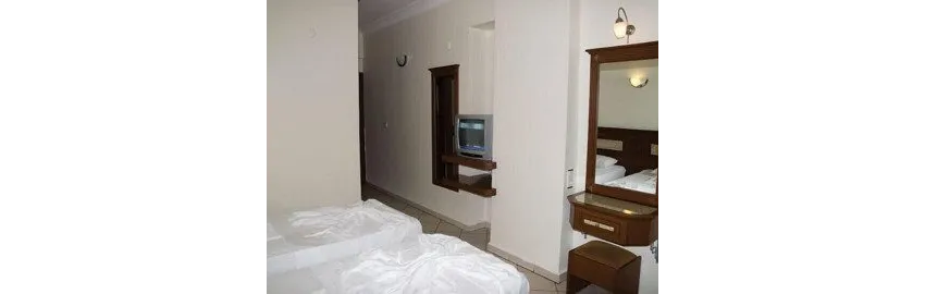 Alin Hotel 3*-10
