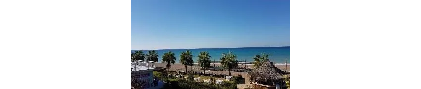 Adora Calma Beach Hotel (Adult Only 16+) 4*-8