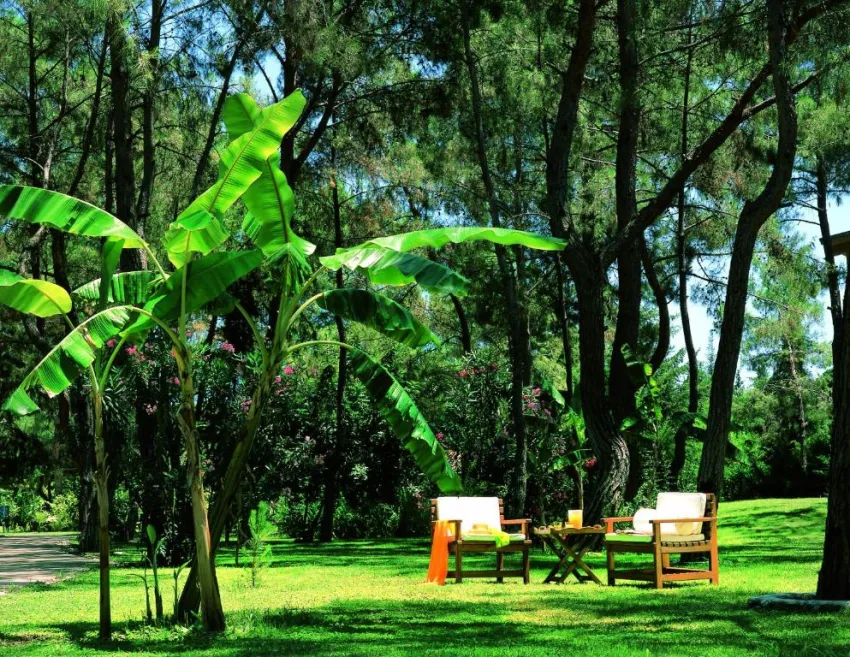 MARTI MYRA HOTEL  5*-14