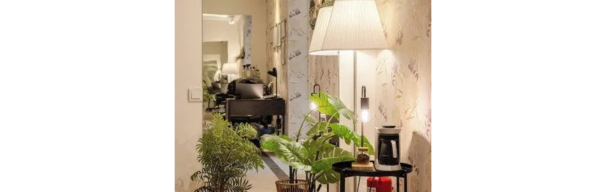 Loi Suite 4*-3