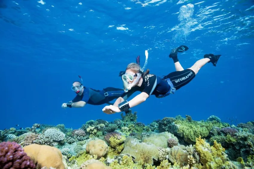 COOK'S CLUB EL GOUNA (ADULTS ONLY 16+)  4*-28